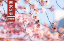 假如我们面临日本“失去的三十年” 该如何度过危机？