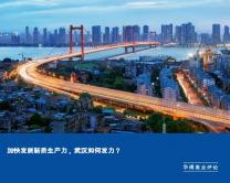 加快发展新质生产力，武汉如何发力？